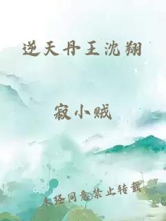 逆天丹王沈翔