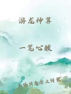 游龙神算