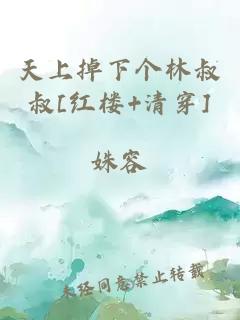 天上掉下个林叔叔[红楼+清穿]