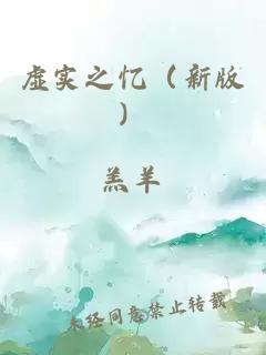 虚实之忆（新版）