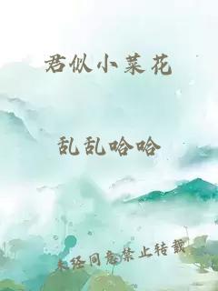 君似小菜花