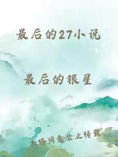 最后的27小说