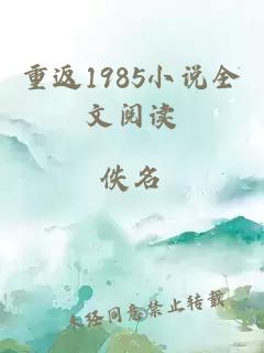 重返1985小说全文阅读