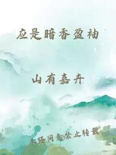 应是暗香盈袖