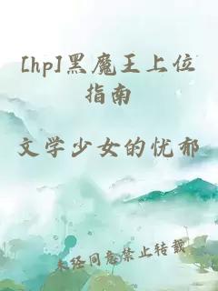 [hp]黑魔王上位指南