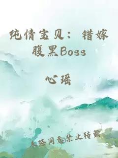 纯情宝贝：错嫁腹黑Boss