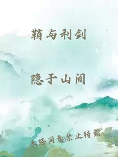 鞘与利剑