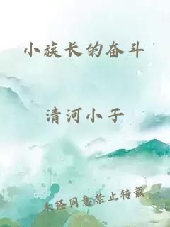 小族长的奋斗