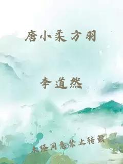 唐小柔方羽