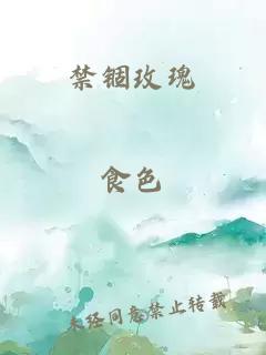 禁锢玫瑰