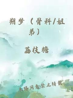 朔梦（骨科/姐弟）