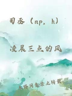 司丞（np，h）