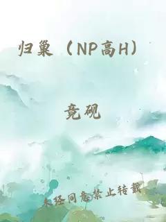 归巢（NP高H）