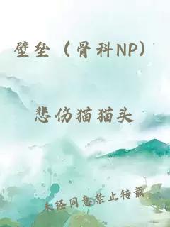 壁垒（骨科NP）