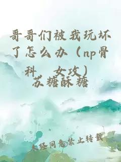 哥哥们被我玩坏了怎么办（np骨科，女攻）