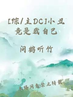 [综/主DC]小丑竟是我自己