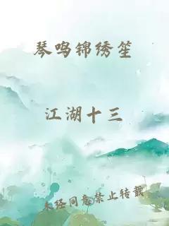 琴鸣锦绣笙