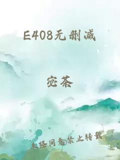 E408无删减