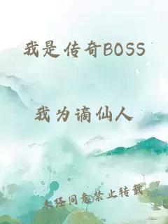 我是传奇BOSS