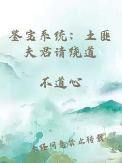 鉴宝系统：土匪夫君请绕道