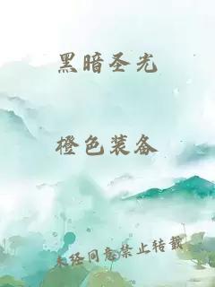 黑暗圣光