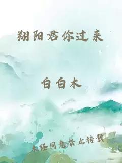 翔阳君你过来