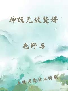 神级无敌赘婿