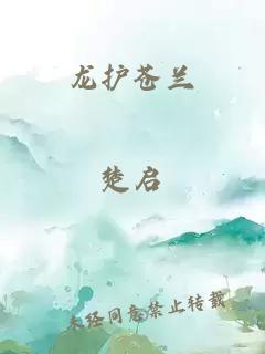 龙护苍兰