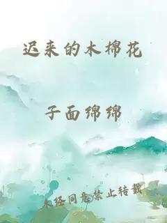 迟来的木棉花