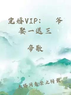 宠婚VIP：玦爷娶一送三