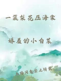 一簇梨花压海棠