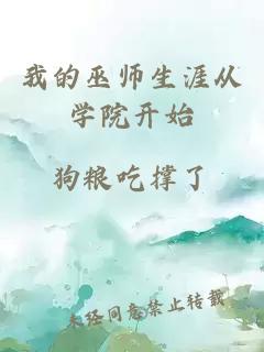 我的巫师生涯从学院开始