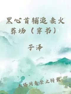 黑心首辅追妻火葬场（穿书）